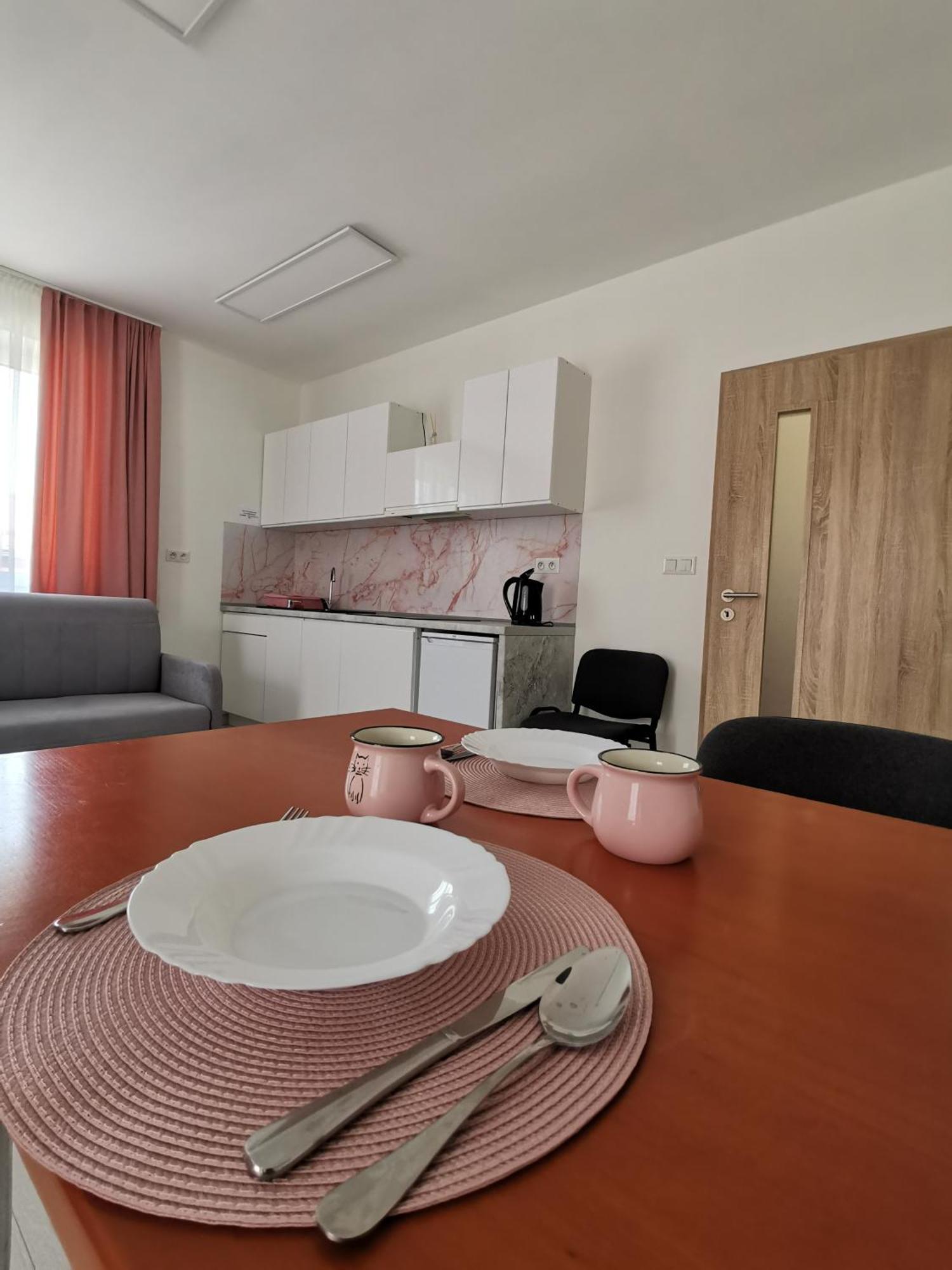 Comenius Apartments - Apartmany Na Rohu Свіднік Екстер'єр фото